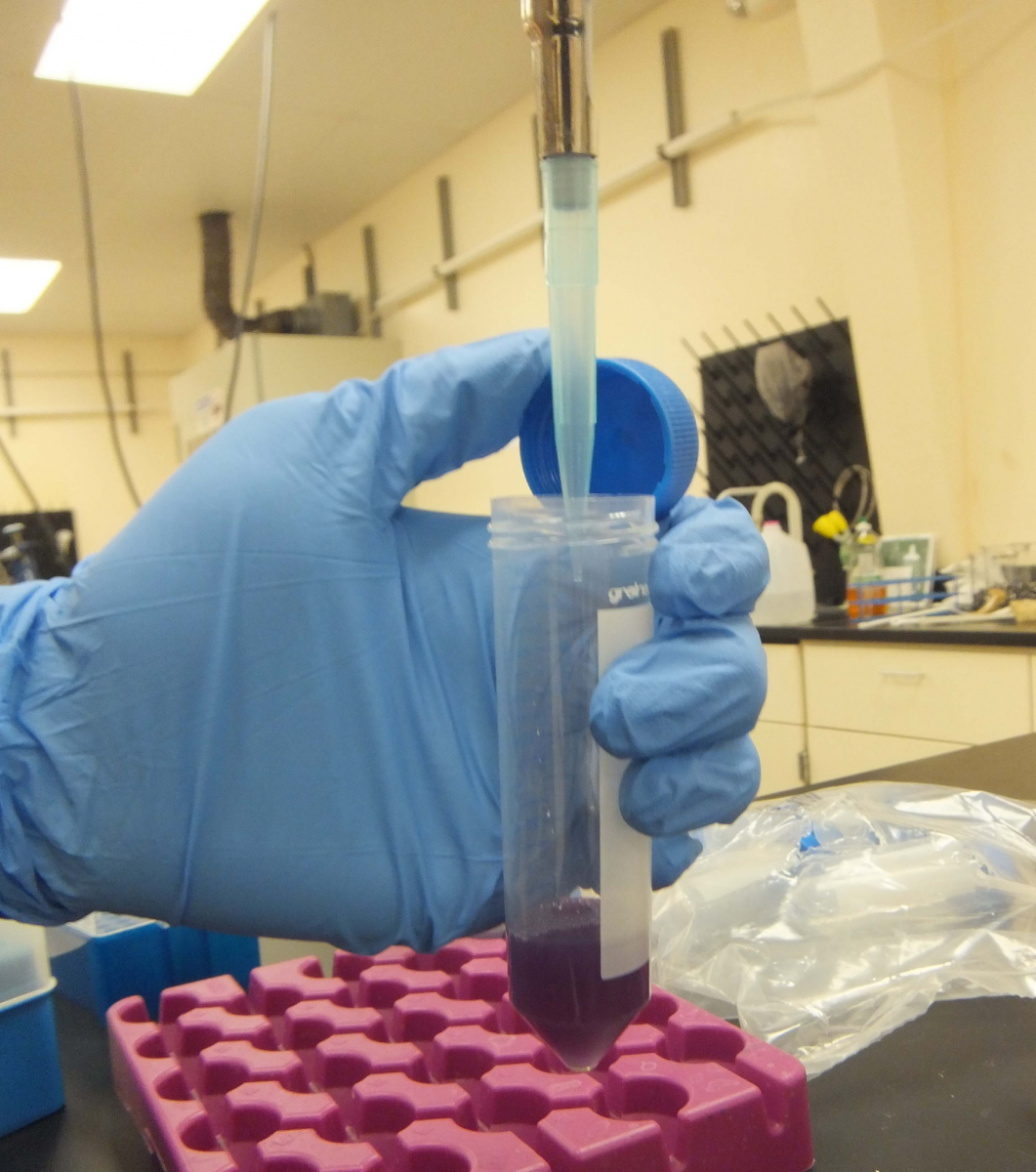 RWater Success Story Microchem Laboratory